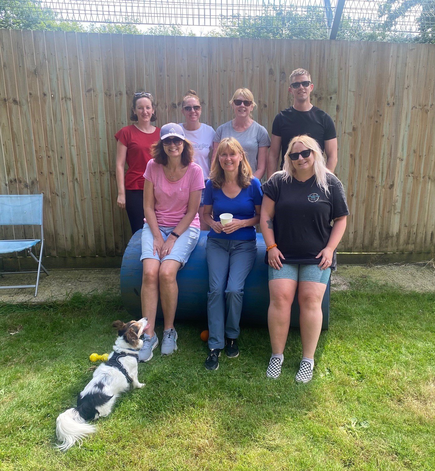 Volunteering at Holly Hedge Animal Sanctuary